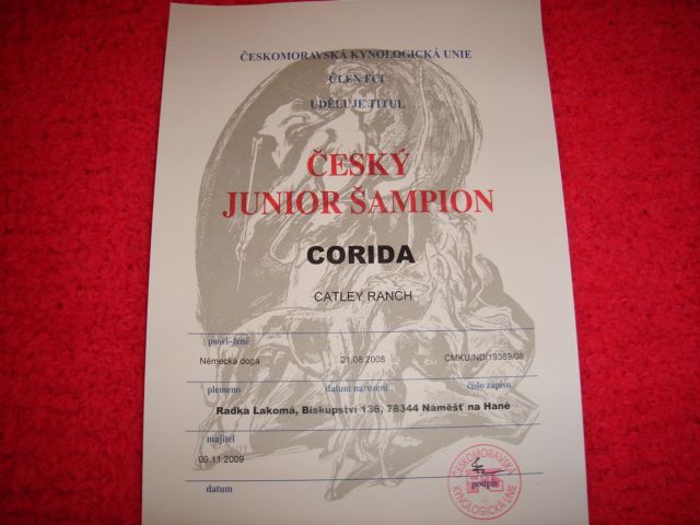 listopad 2009 206.jpg