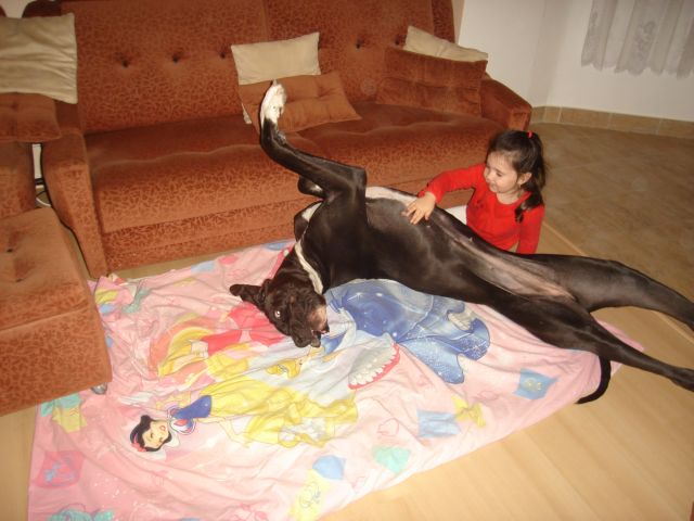 prosinec 2009 373.jpg