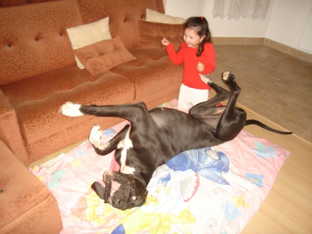 prosinec 2009 377.jpg