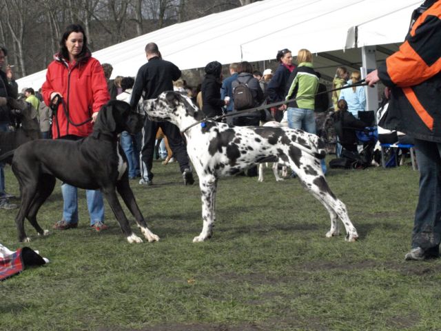 výstava Mladá Boleslav 053.jpg