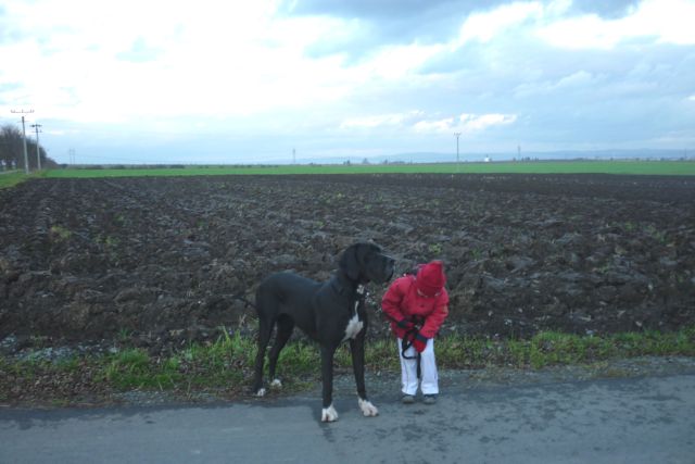 listopad 2010 039.jpg