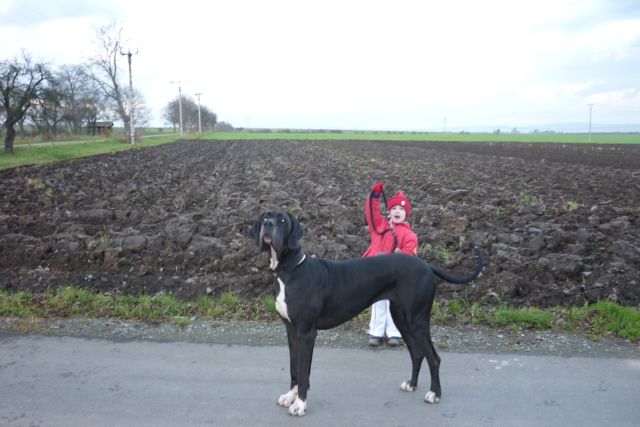 listopad 2010 042.jpg