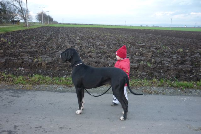 listopad 2010 045.jpg
