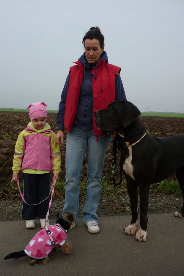 listopad 2010 056.jpg