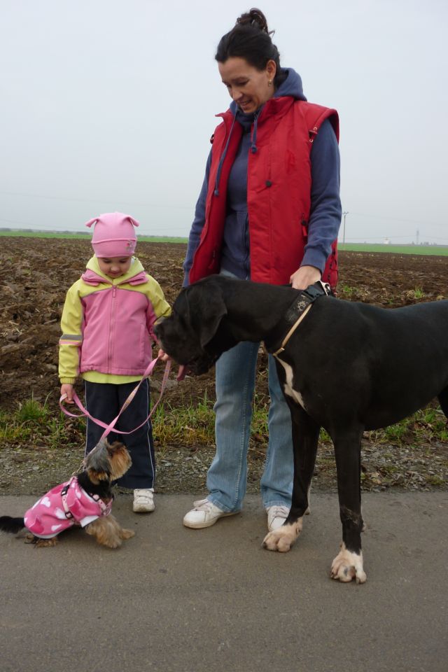 listopad 2010 057.jpg