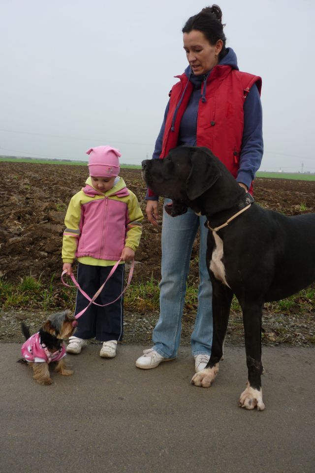 listopad 2010 058.jpg