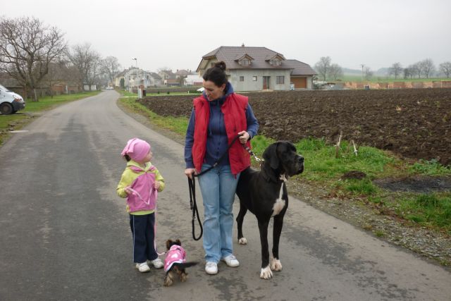 listopad 2010 069.jpg