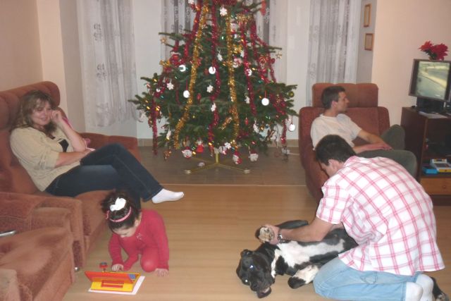 Vánoce 2010 054.jpg