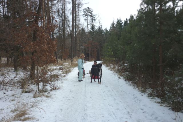 1.1.2011 Novoroční véšlap na Velký Kosíř 031.jpg