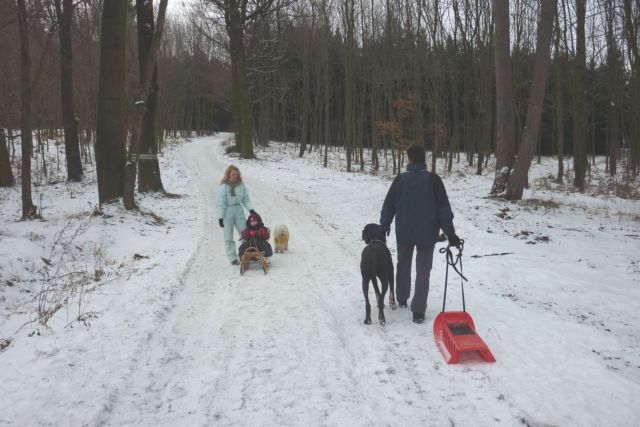 1.1.2011 Novoroční véšlap na Velký Kosíř 040.jpg