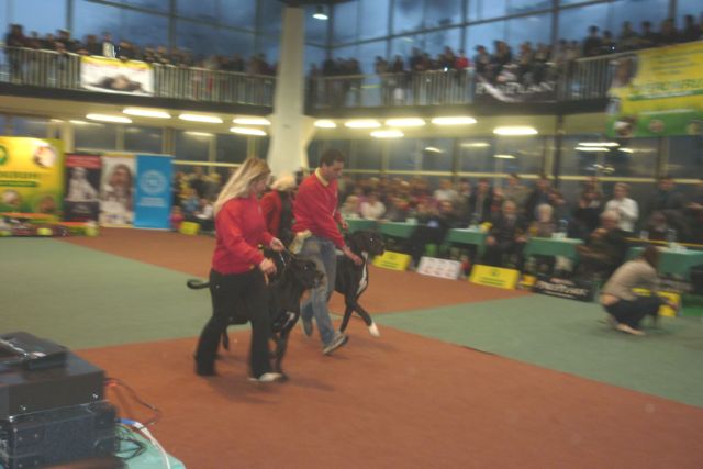 výstava Olomouc 8.1.2011 245.jpg