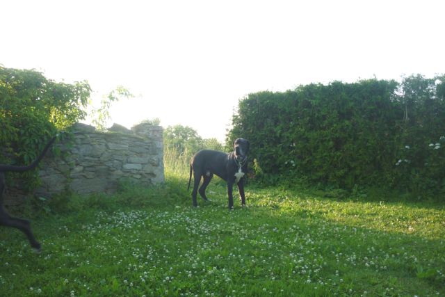 červen 2011 020