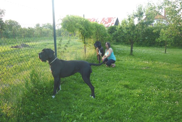 červen 2011 064