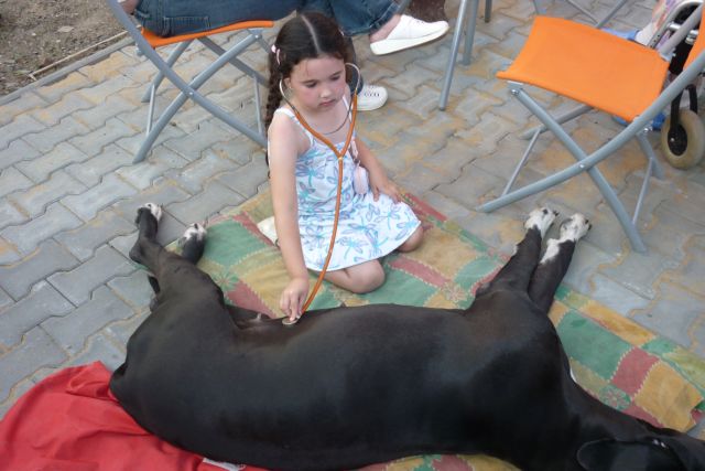 Maci v březí