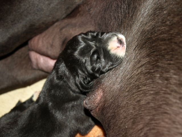 Snímek 074