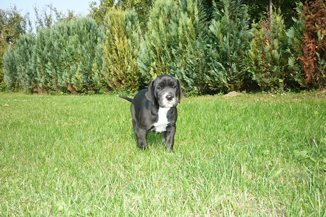 Afi 20.-22.9. 011