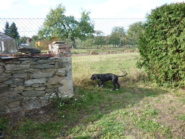 říjen 054