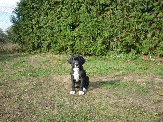 říjen 067