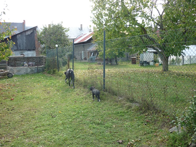 říjen 072