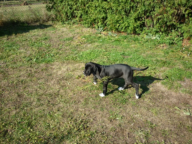 říjen 107