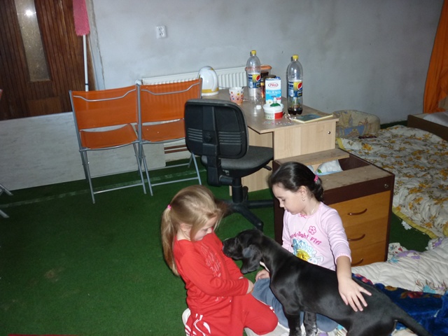 říjen 241