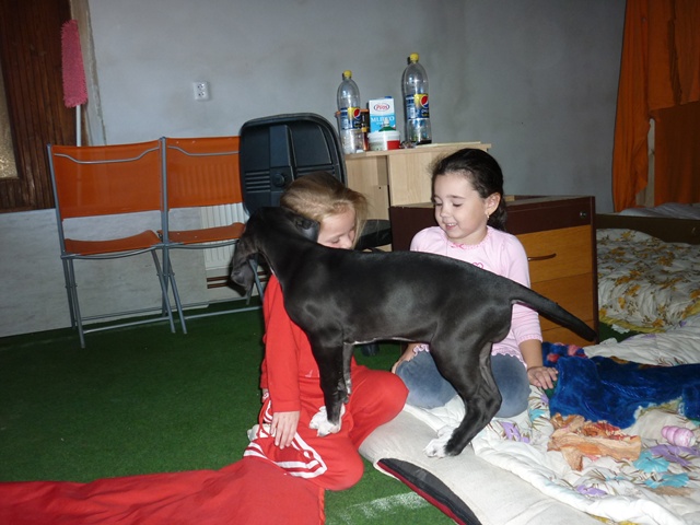 říjen 243