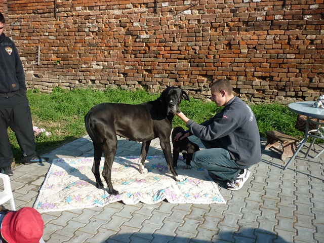 říjen 422