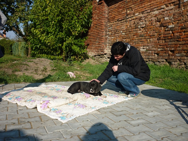 říjen 433