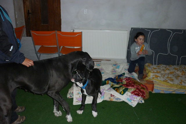 Afrinka na první návštěvě u maminky 033
