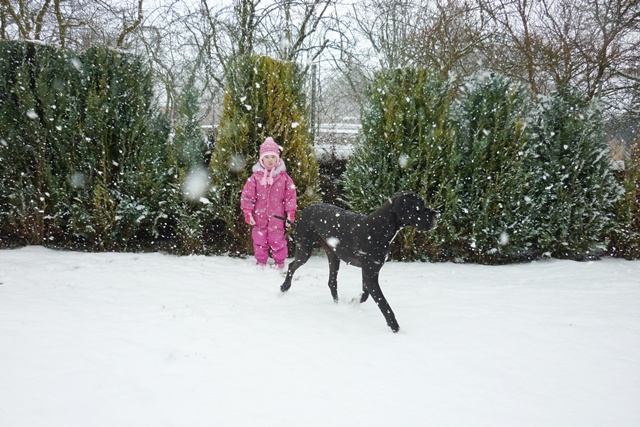 La Chardes 15.1.2012 007