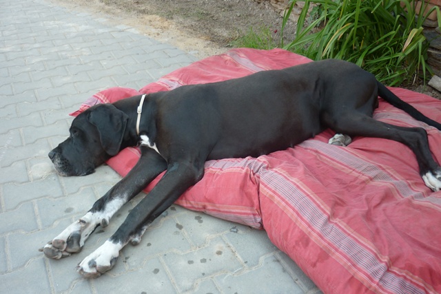 LU červen 2012 071